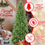 Arbre de Noël élancé de 8 pi pour les entrées d'appartements, 1612 pointes mixtes de PE +, assemblage simple et rapide de petites surfaces étroites, branches en PE +, support stable