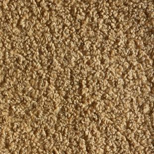 Plush Boulce Fabric