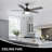 Johnye 52'' Ceiling Fan with LED Lights-1539056357