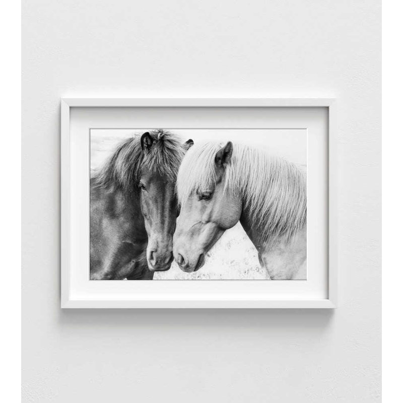 «Wild Horses Companions» - reproduction d'art chevalier noir et blanc, H 12 po x l 16 po, Blanc