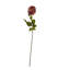 Artificial Arrangement