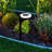 Solar Pathway Light - Set of 3