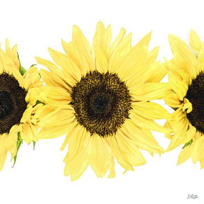 " Sunflowers In A Row I "