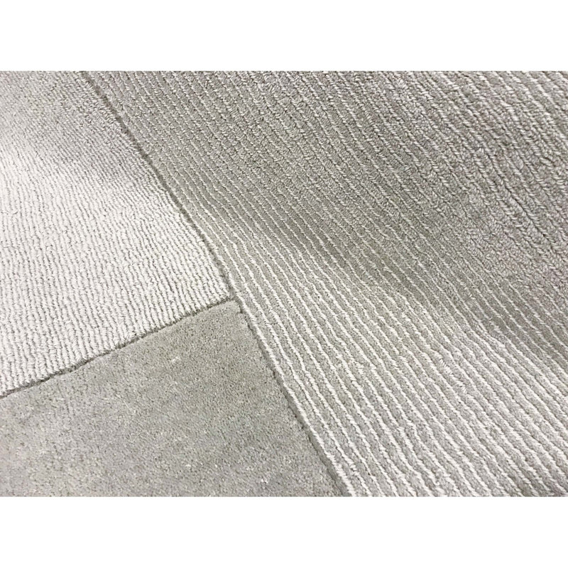 Area Rug in Gray