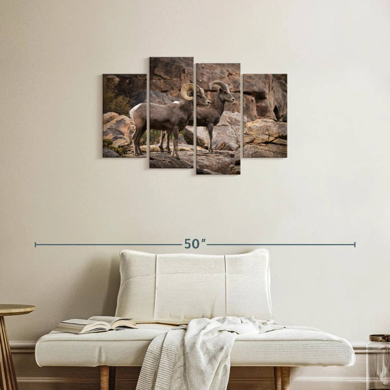 Couple de moutons Brampt Bighorn, H 22 po x l 36 po