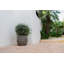 Round Stone Pot