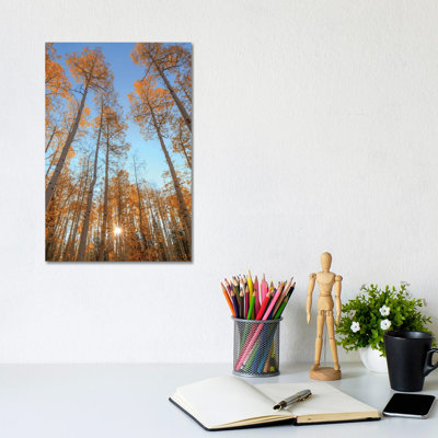 Reaching Up-Vertical by Bill Sherrell - Wrapped Canvas Print
