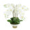 Orchids Arranged in Ceramic Key Footed Pot