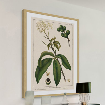 «Honeyberry», reproduction encadrée