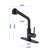 Fapully Pull Out Kitchen Faucet-69820496