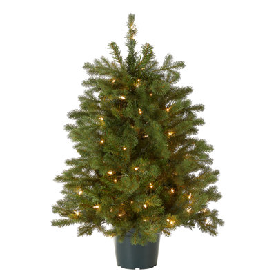 3' Pre-Lit Spruce Christmas Tree