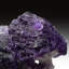 Véritable grappe de fluorescence mauve