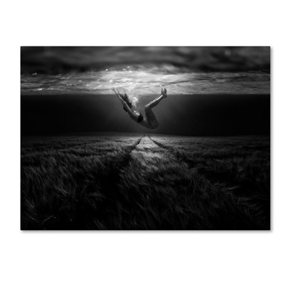 « underwaterlandream », reproduction de photo sur toile tendue