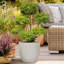 Egg Garden Reinforced Stone Round Planter, Outdoor Plant Pot-1669766809-1669766810