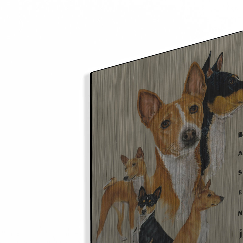 "Basenji" par Barbara Keith, H 16 po x l 12 po