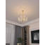 Ankeny Crystal Chandelier-1961234105