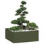 Planter 100X100Cm Steel-38147123-38147120