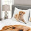 Adhamh White/Brown Microfibre Bedspread Set-1934257956