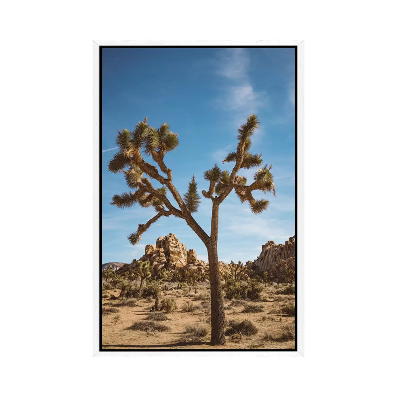 Joshua Tree National Park II by Bethany Young - Print on Canvas, White Framed, 101.6cm H x 66.04cm W x 3.81cm D