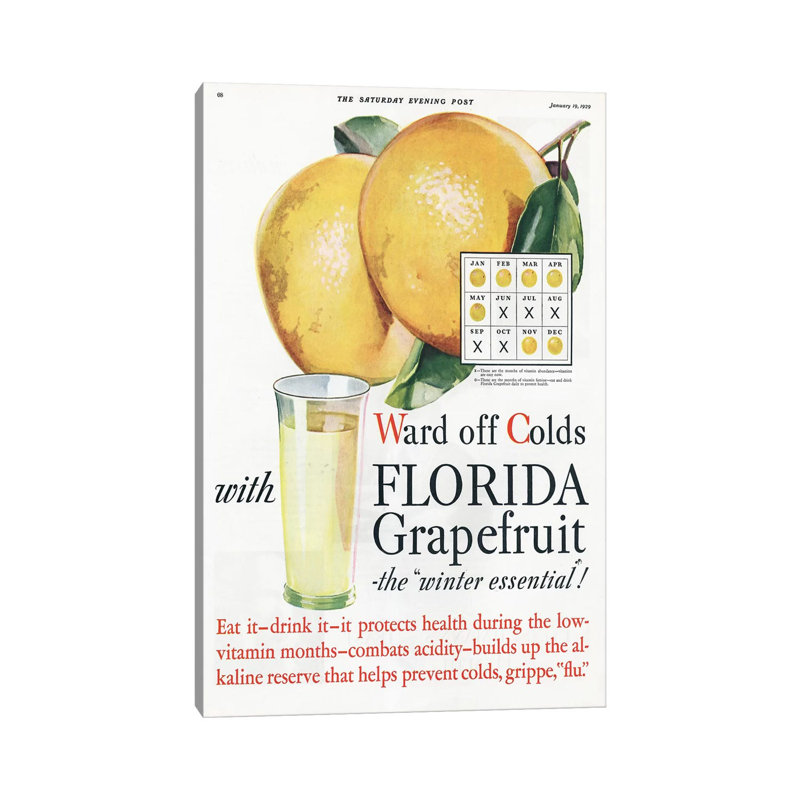 1920s Florida Grapefruit Magazine Advert by The Advertising Archives - Wrapped Canvas Gallery-Wrapped Canvas Giclée