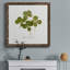 Toile encadrée Pressed Clover I-Premium - prête à être accrochée-1950035782-1950035788