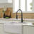 VIBRANTBATH Kitchen Faucet-3331662