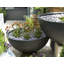 Jodelle Fibreglass Planter-14486181