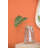 Philodendron Selloum Arrangement
