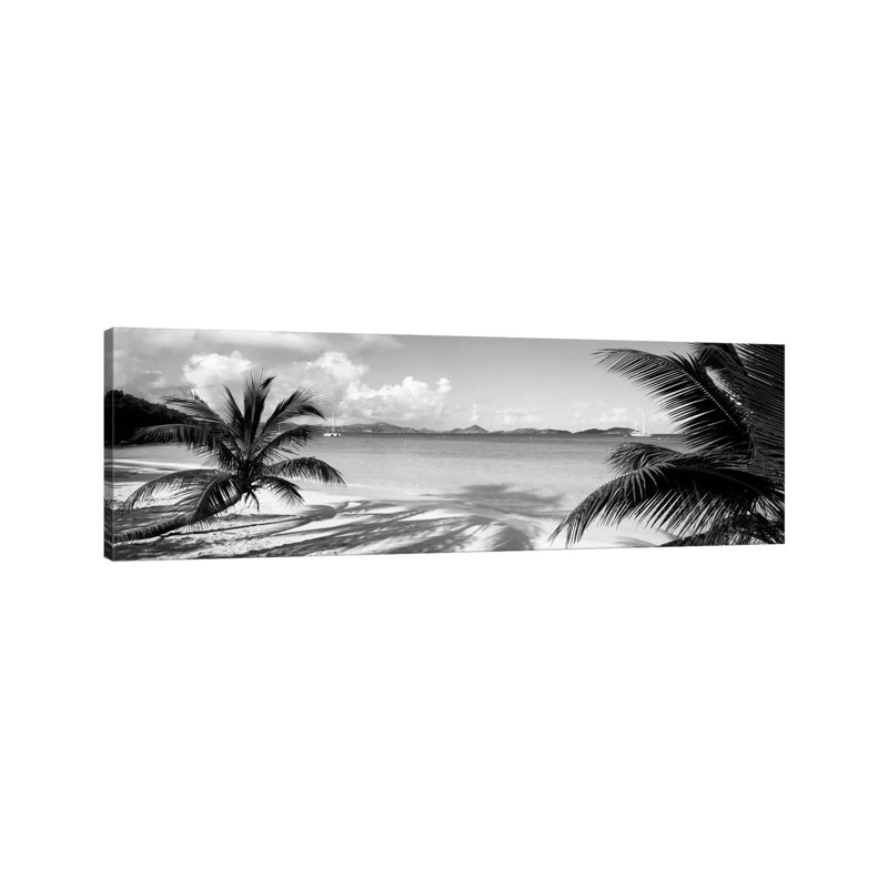 Palmiers sur la plage, Îles Vierges américaines, États-Unis - Giclée sur toile tendue avec châssis, H 24 po x l 72 po