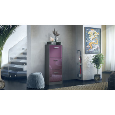 12 Pair Shoe Storage Cabinet