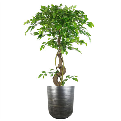 Coya Planters Handmade Pot Planter