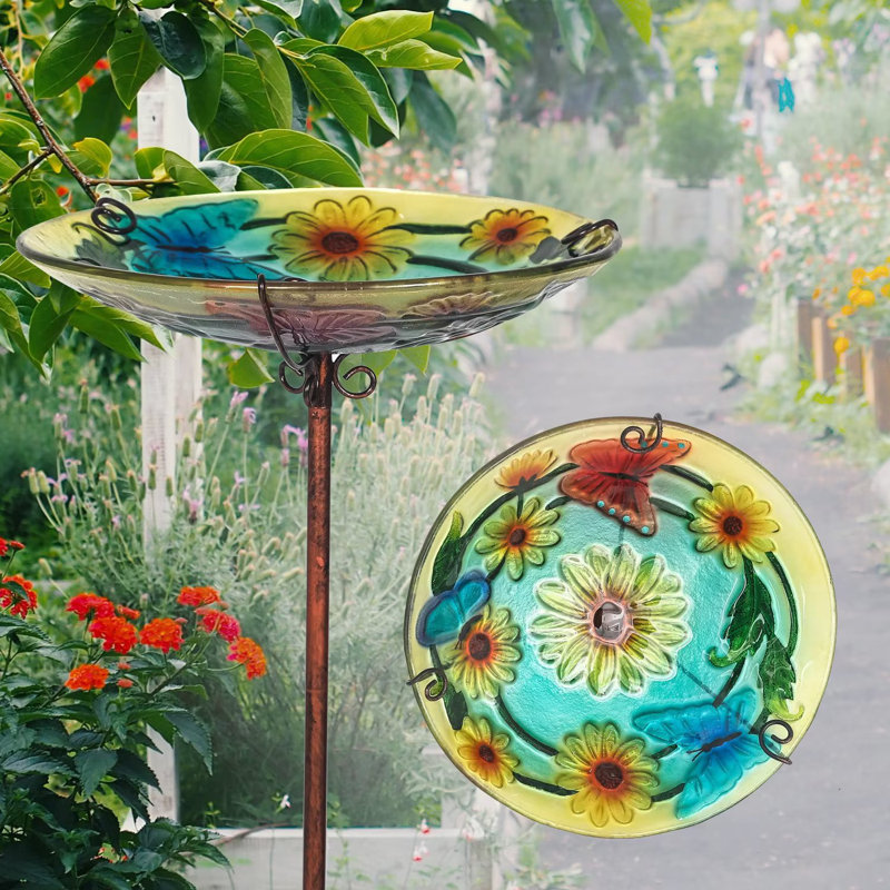 Bain d'oiseaux Kashara