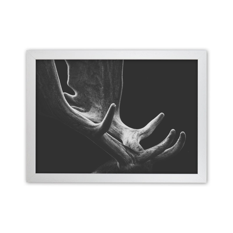 Antlers by Victoria Frost - Print, 64cm H x 88cm W x 3cm D, White Framed
