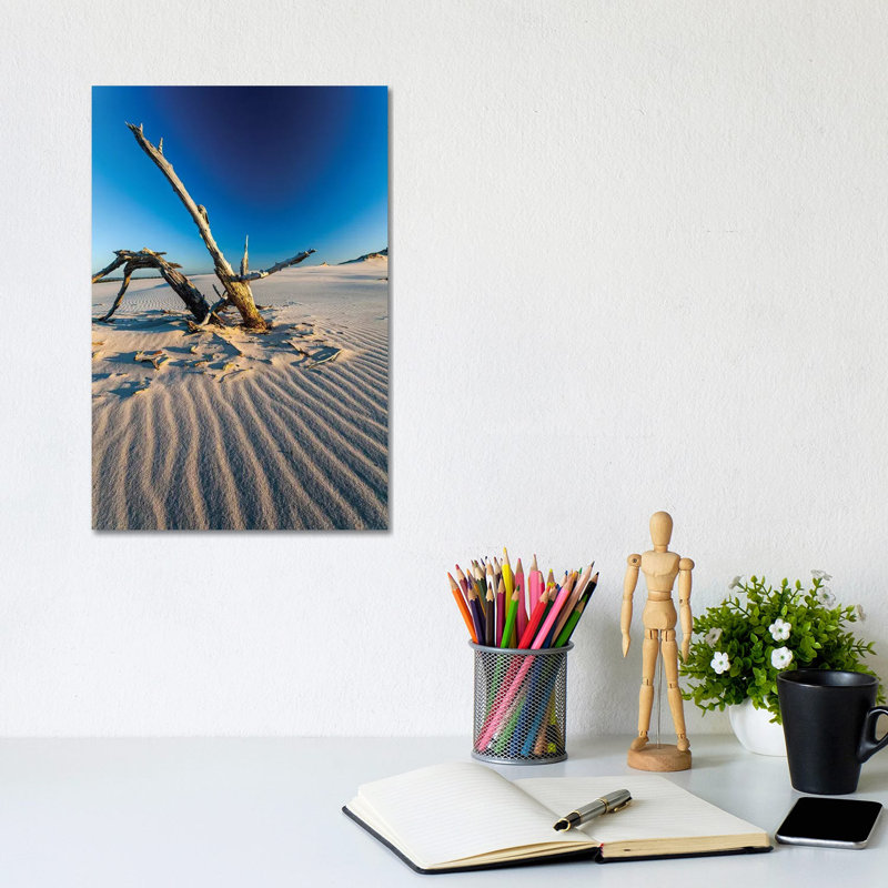 Poland, Baltic Sea, Slowinski National Park III by Mikolaj Gospodarek - Wrapped Canvas Print, 20.32 cm H x 30.48 cm W
