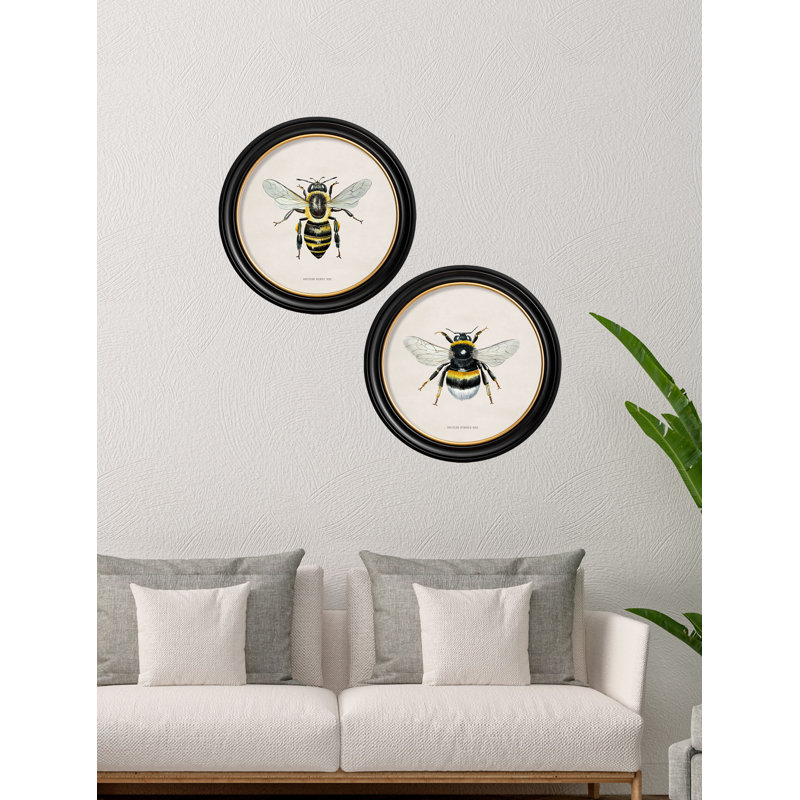 Honey Bee by Mid-1800s - Single Picture Frame Print on Archival Matt 230gsm Paper, Beige
