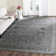 Tapis oriental gris foncé / gris clair / ivoire Driffield