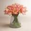 AMARYLLIS IN VASE-1771926530