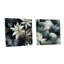 Monochromes monochromes tropicaux à motif tropical I - ensemble de 2 peintures murales en acrylique-103927501