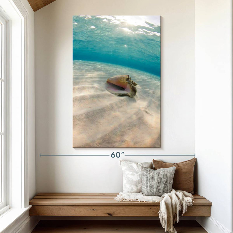 Aletra Underwater Seashell, 51" H x 34" W