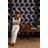 Navy Tropical Wallpaper Monstera Leaf Pattern-2002012095