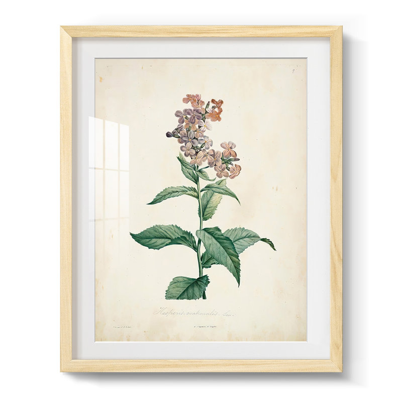 Allspice II - Toile tendue avec châssis