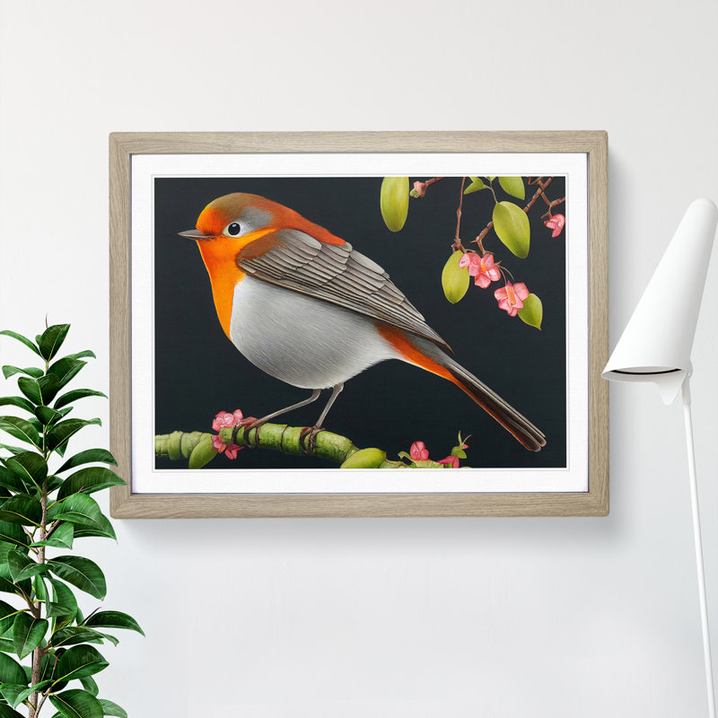 Spellbinding Robin Bird - Framed Print, 46cm H x 64cm W x 2cm D, Oak