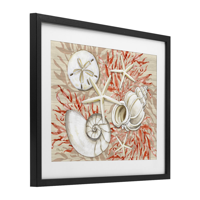 «Coral White Shells», reproduction encadrée sous verre, conception de Paul Brent, H 13 po x l 16 po, Cadre noir minuit