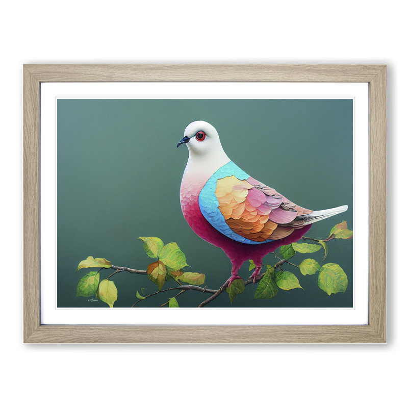 Cosmopolitan Dove Bird - Framed Print, 25cm H x 34cm W x 2cm D, Oak Framed