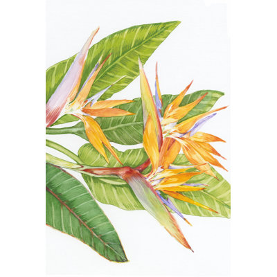 Exotic Flowers II