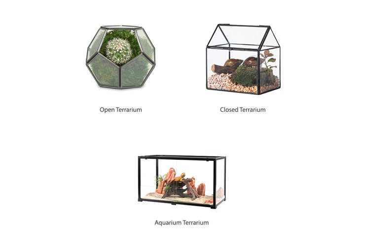 collage depicting the three types of terrariums including open, closed, and aquarium