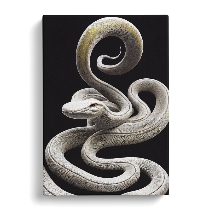 Silver Snake - Wrapped Canvas Print, 76cm H x 50cm W x 3cm D