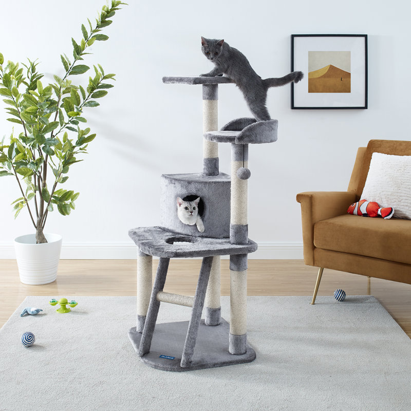 Chachi 49.21'' H Cat Tree