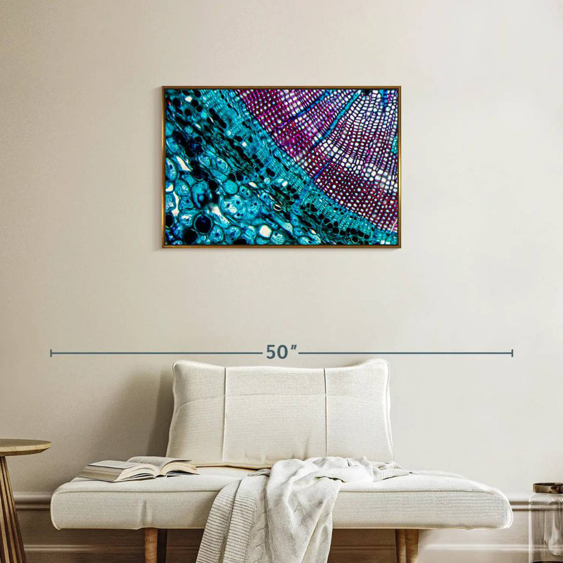 Pine Stem Under Microscope, Floating Frame Gold, 31" X 21"