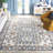Chun Tulum Performance Oriental Rug-773715738